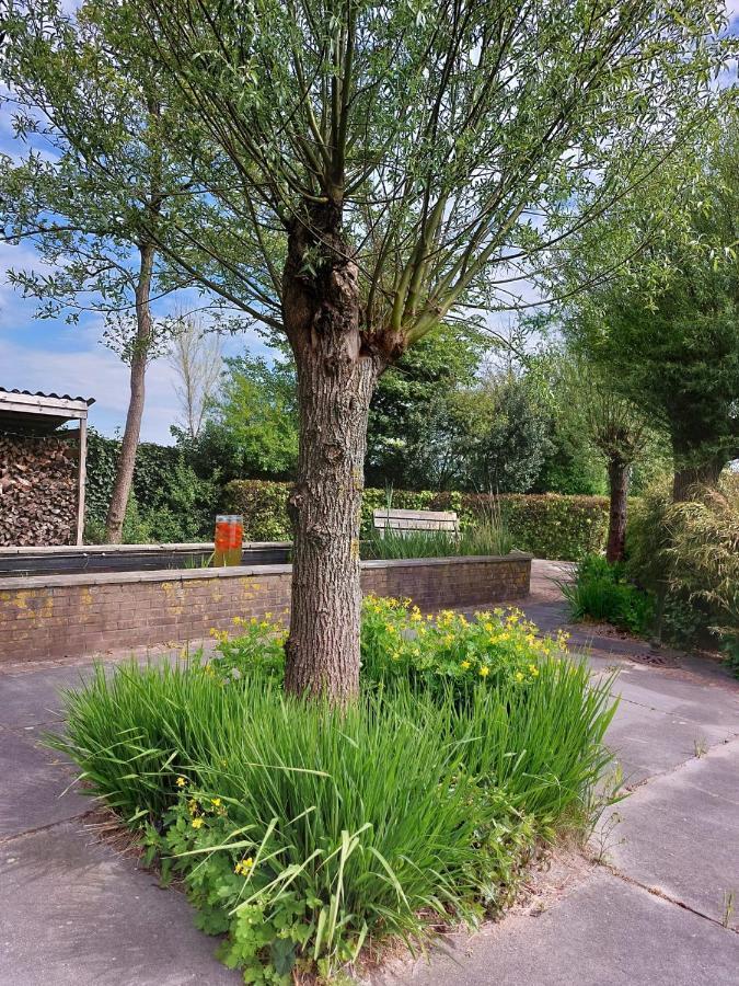 Luxe Gastenverblijf In Het Hart Van Friesland Akkrum Εξωτερικό φωτογραφία